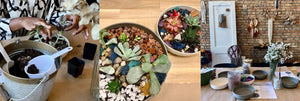 three additional terrarium photos - bucket of soil - two sizes of terrariums side-by-side - assortment of materials on studio table in front of brick wall