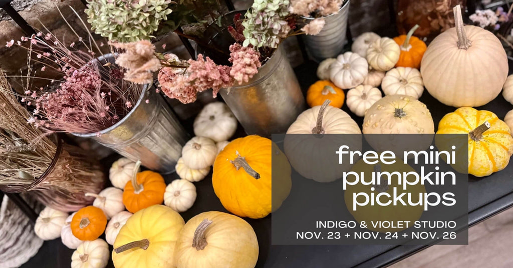 Free Mini Pumpkin Pickup