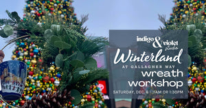 Winterland Wreath Workshop @ Gallagher Way - Sat. Dec. 6