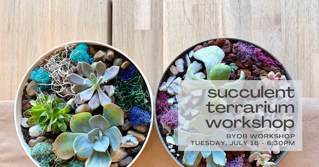 Succulent Terrarium Workshop - July 16