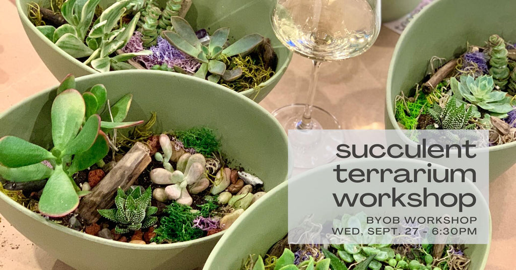green planters with a variety of succulents, rocks, and moss in photo in background - text in foreground reads succulent terrarium workshop byob workshop wednesday september 27 - 6:30pm at indigo and violet studio