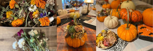 Succulent Pumpkin Workshop for ICIRR - Nov. 5