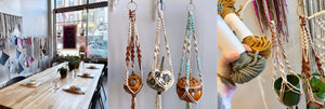 Macrame Plant Hanger Workshop - October 10