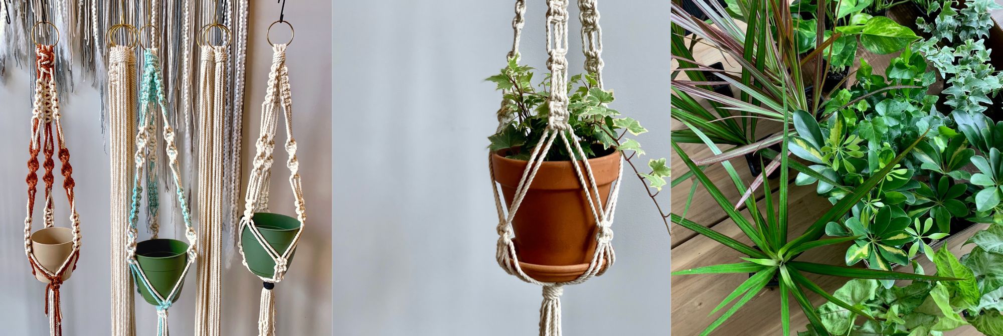 Macrame Plant Hanger Workshop - April 28