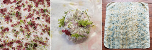 Bundle Dye Workshop with Ms. Amy Taylor - Feb. 9 - indigo & violet studio LLC