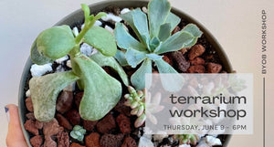 byob terrarium workshop june 9 at 6pm - black text on green succulents in grey container