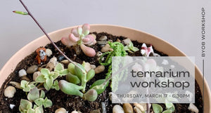 terrarium workshop-march 17 6:30pm - black text on green succulents in blush container