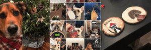 DIY HOWLiday Dog Ornaments - Dec. 1 - indigo & violet studio LLC