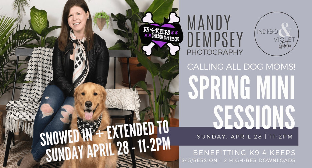 Extended - Spring Mini Sessions with Mandy Dempsey - April 28 - indigo & violet studio LLC