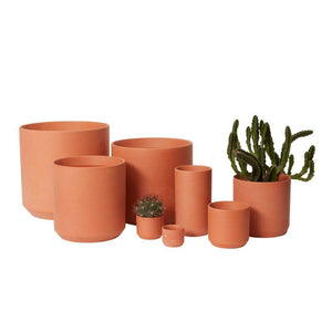 terra cotta planter