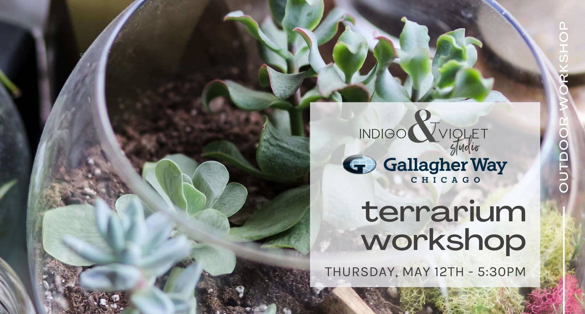 succulent plants chicago Terrarium Workshop @ Gallagher Way