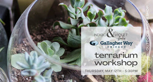 text reads indigo & violet studio + gallagher way chicago - terrarium workshop outdoors - may 12- 5:30pm - background photo of green succulents in glass globe