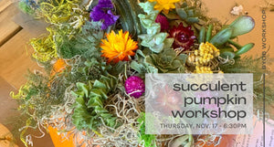 green succulents and colorful flowers on top of pumpkin - workshop november 17 - 6:30 at indigo and violet studio