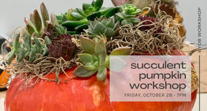 Succulent Pumpkin Workshop - Oct. 28