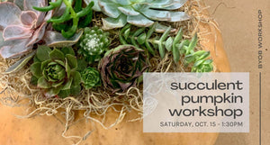 Succulent Pumpkin Workshop - Oct. 15