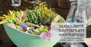 Terrarium Workshop - May 3