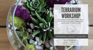 Terrarium-Workshop-August-7-Indigo&Violet-Studio-Chicago-BYOB-Art+Craft-Class