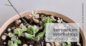 terrarium workshop-march 31 6:30pm - black text on green succulents in blush container