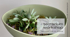 byob terrarium workshop february 25 at 4:30pm - black text on background of sage green bowl with green succulent plants and purple and green moss