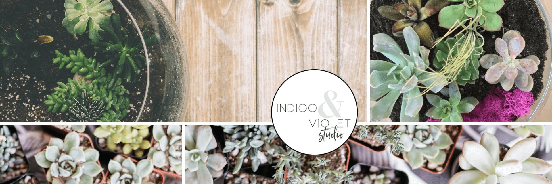 Terrarium Workshop - June 22