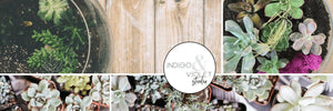 Terrarium Workshop - June 22