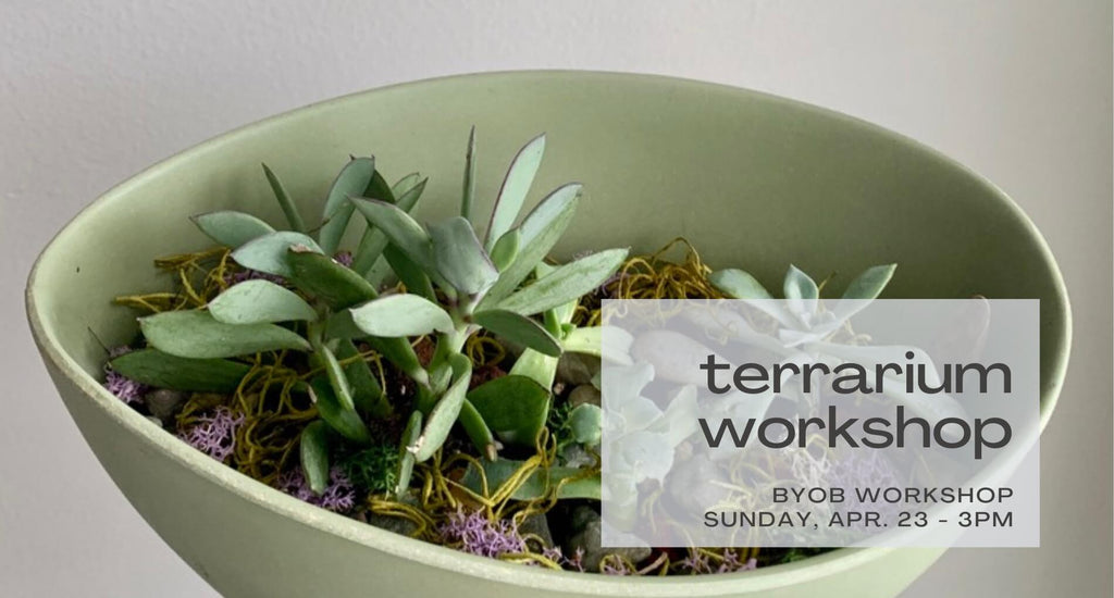 byob terrarium workshop april 23 at 3pm - black text on background of sage green bowl with green succulent plants and purple and green moss
