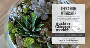 Indigo & Violet Studio - Made in Chicago Market Terrarium Workshop - June 13