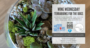 Indigo & Violet Studio - Terrariums for the Dogs Workshop collaboration with the Real Dog Moms of Chicago benefitting One Tail at a Time - October 9